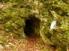 Jaskyňa pod Jeleňom