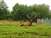 zoo Košice